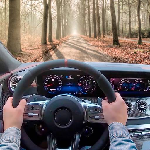 Гонки в машине 2024 icon