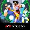 Soccer Brawl Aca Neogeo icon