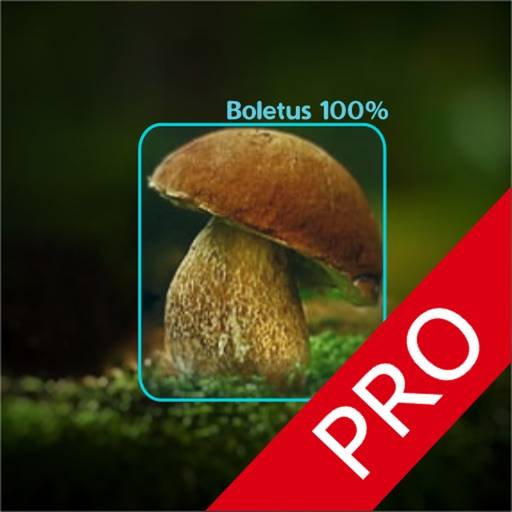 Mushrooms - AI Identifier PRO