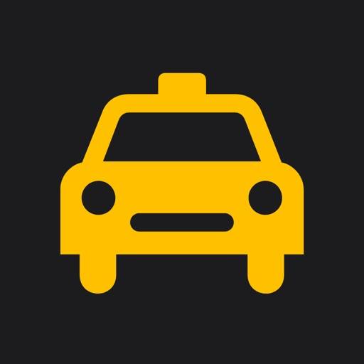 Taximeter Turkey icon