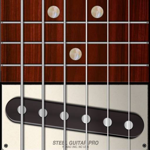 Steel Guitar PRO icon