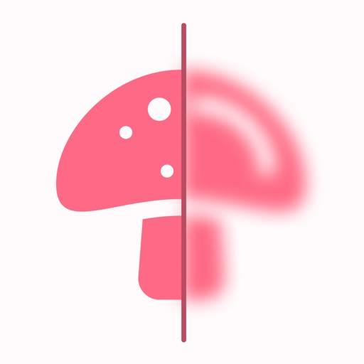 Mushroom ID: Svampguiden icon