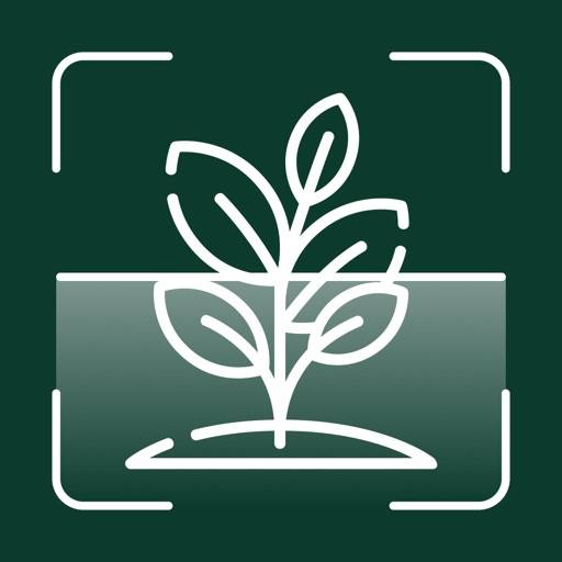 Plant Identification icon