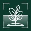 Plant Identification app icon