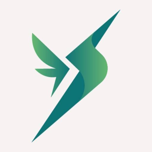 Flit Run app icon