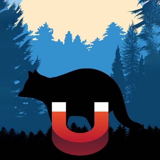 Raccoon Magnet–Raccoon Sounds app icon