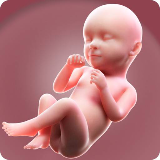 La mia gravidanza calcolatrice app icon