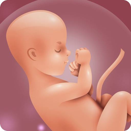 Pregnancy Tracker Week by Week app icon