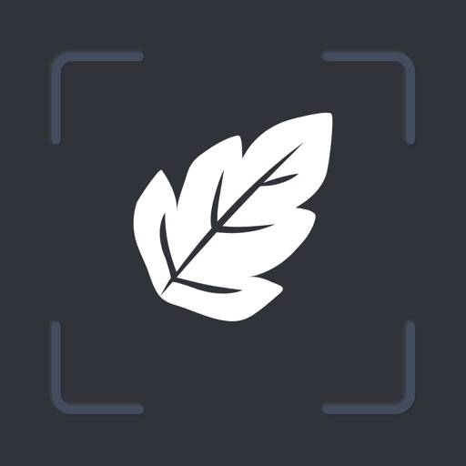 Plany - Plant ID icon