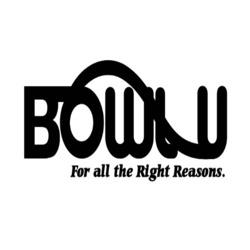 Bowl U icon