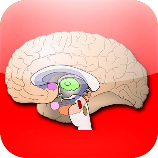 Anatomy Atlas icon