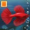 Fish Tycoon app icon