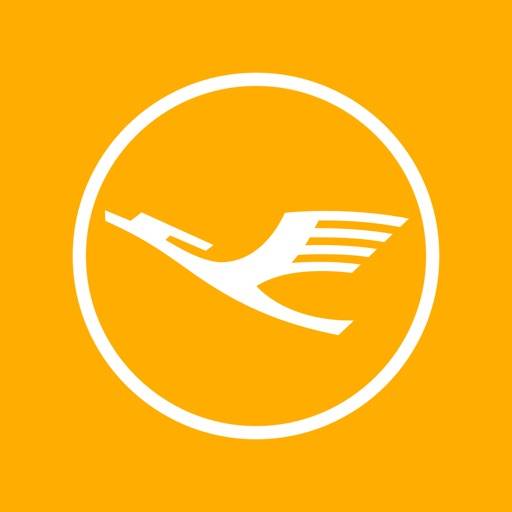 Lufthansa icon