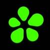 ICQ Video Calls & Chat Rooms Symbol