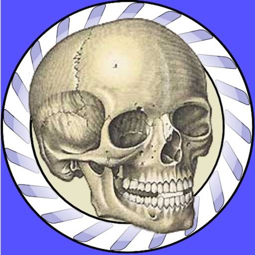 Speed Bones MD app icon