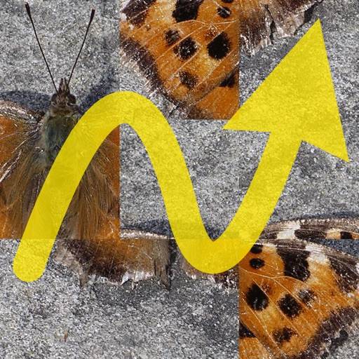 Das Bewegende Puzzle