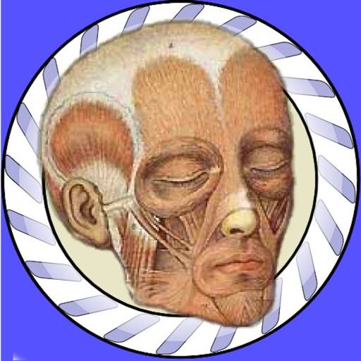 Speed Muscles MD icône