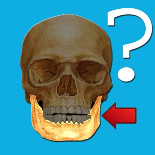 Anatomia Quiz icona