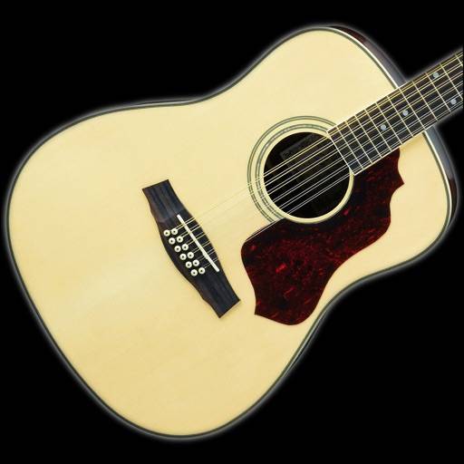 12-String Guitar Tuner Simple icône