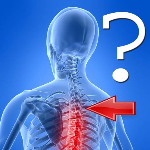 Anatomy Spine Quiz icon