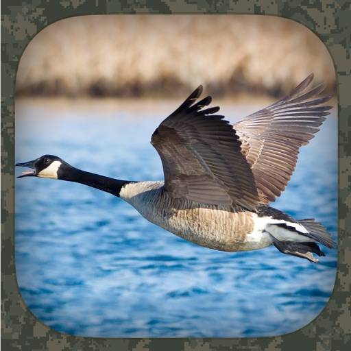 Goose Hunting Calls icon