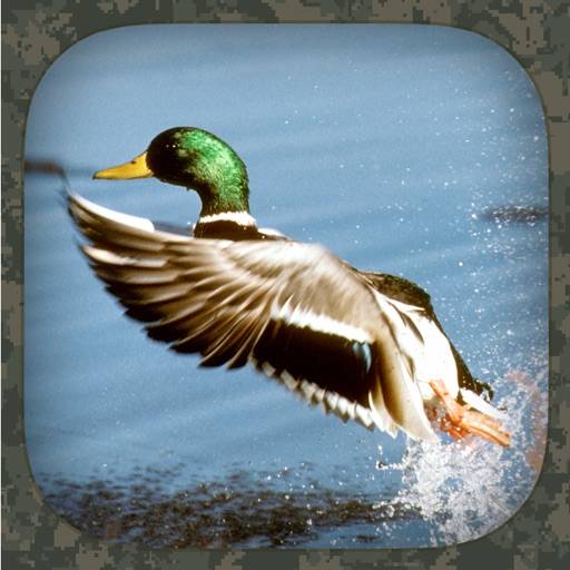 Duck Hunting Calls икона