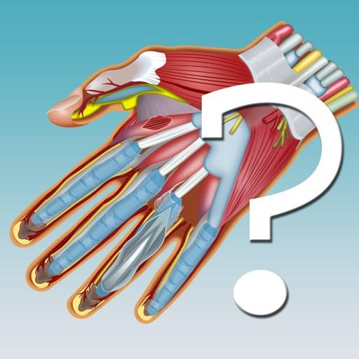Anatomy Hand Quiz icon
