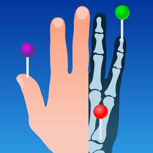 E-Anatomy app icon