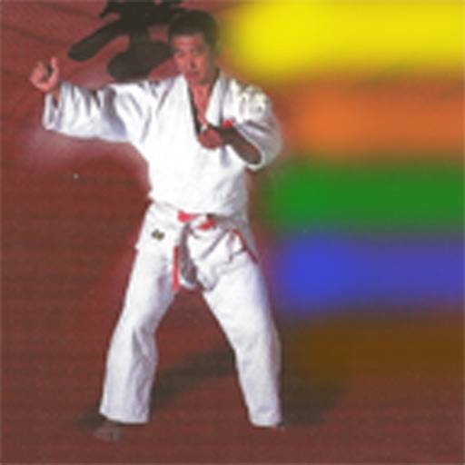 Judo Gokyo icône