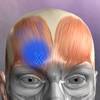 Puntos Musculares app icon