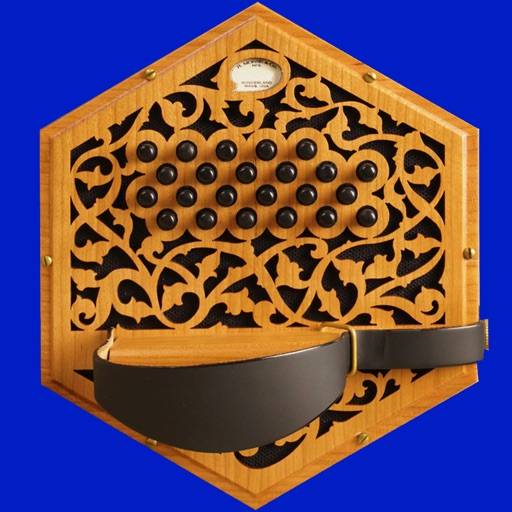 Hayden Duet System Concertina