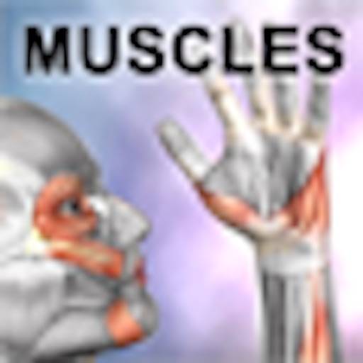 Learn Muscles: Anatomy icon