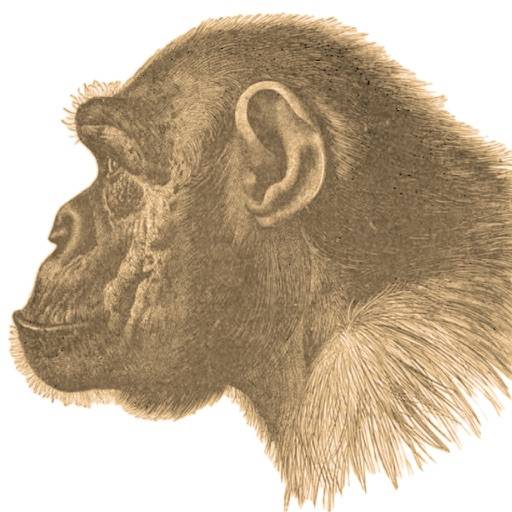 Ape Test Symbol