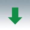Emerald Timestamp app icon