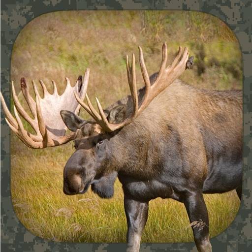 Moose Hunting Calls app icon