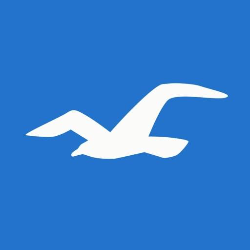 Hollister Co. app icon