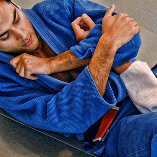 delete BJJ Blue Belt Requirements 1.0