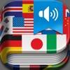IHandy Translator Pro icon