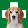 Erste Hilfe Hund Symbol