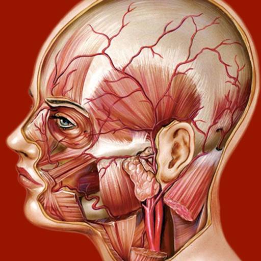 elimina Atlante di Anatomia