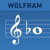 Wolfram Music Theory Course Assistant app icon