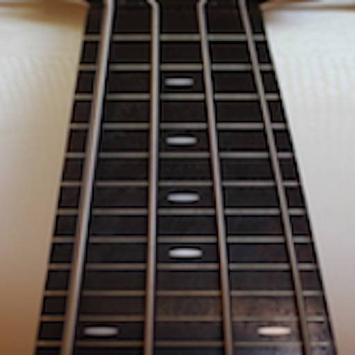 Bass Fretboard Addict app icon