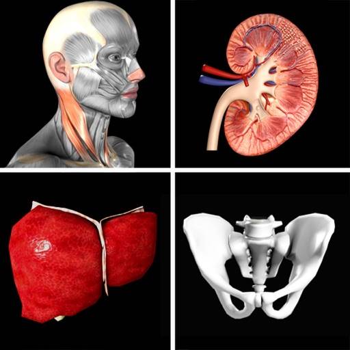 Anatomy Quiz Pro app icon