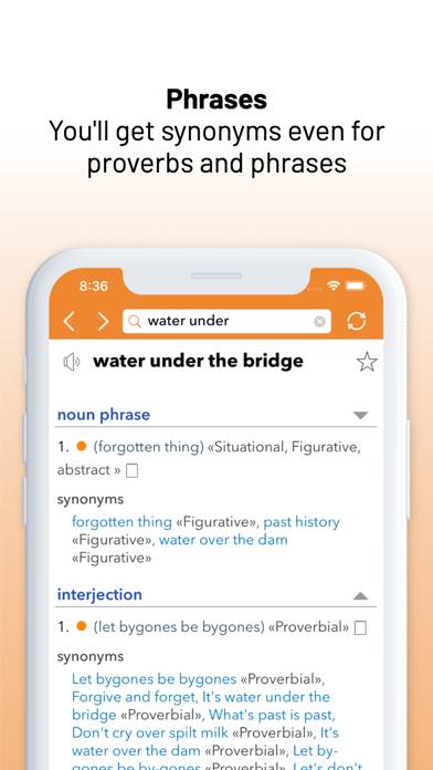 offline thesaurus app iphone