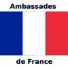 French Embassies icon