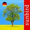 Baum Id Germany icon
