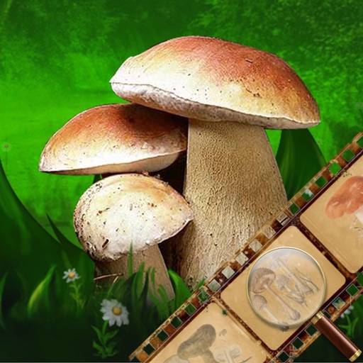 Mushroom Book & Identification icon