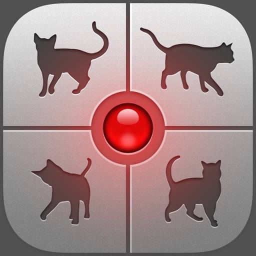Human-to-Cat Translator app icon