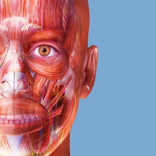 Muskeln & Kinesiologie löschen