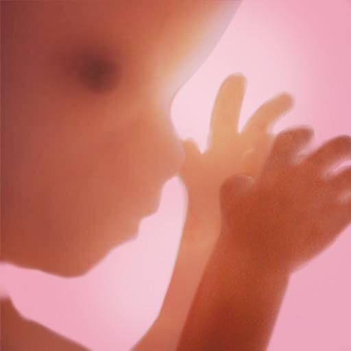 Graviditet plus icon